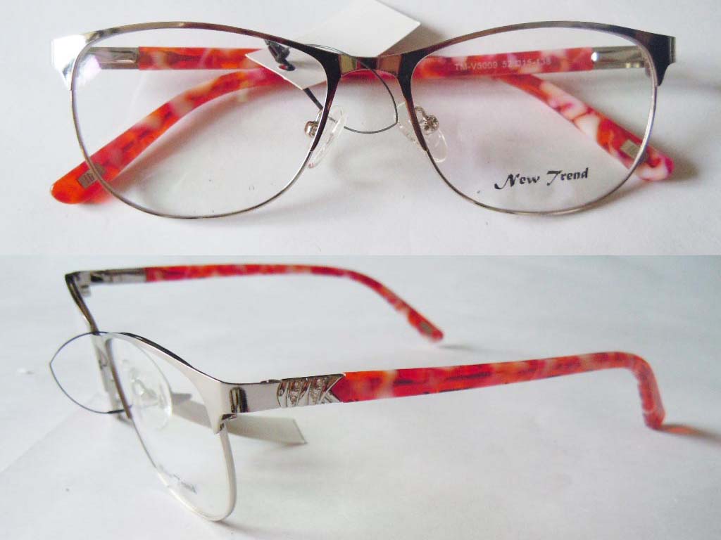 S539  Stainless Steel Spectacle Frame