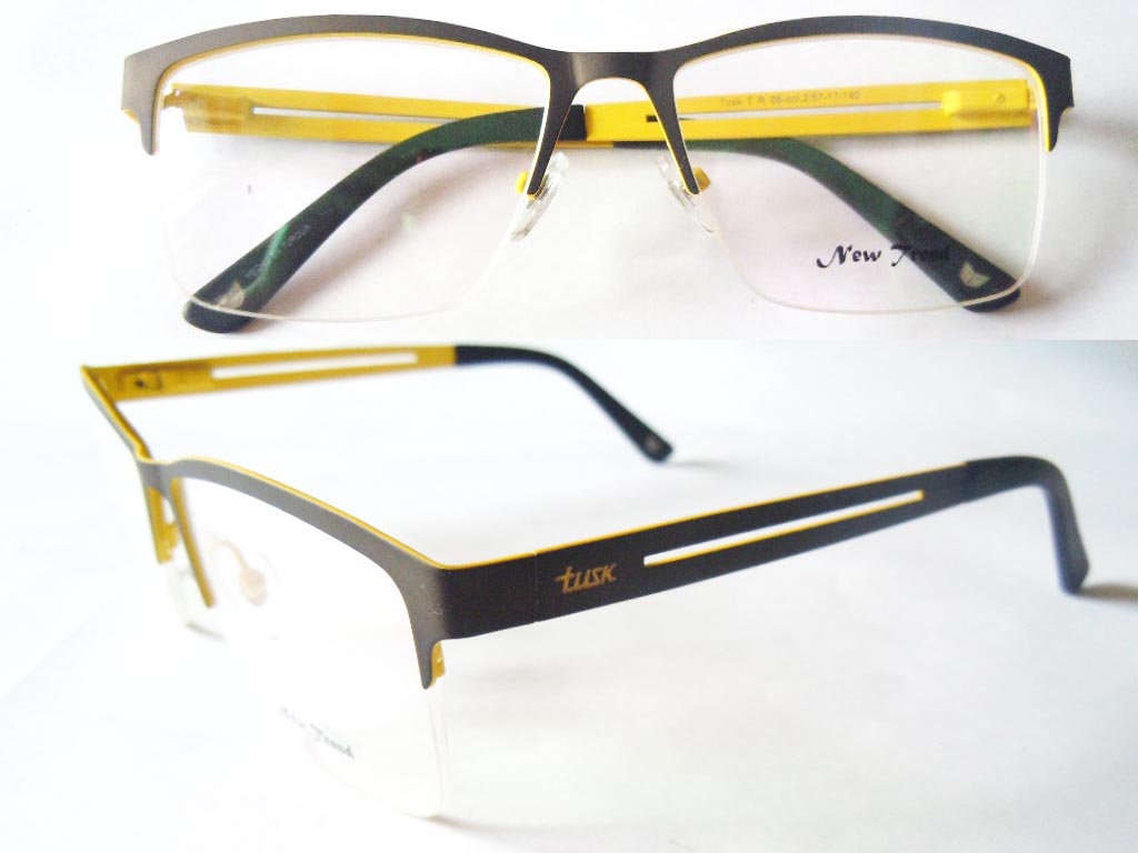 S541  Stainless Steel Spectacle Frame