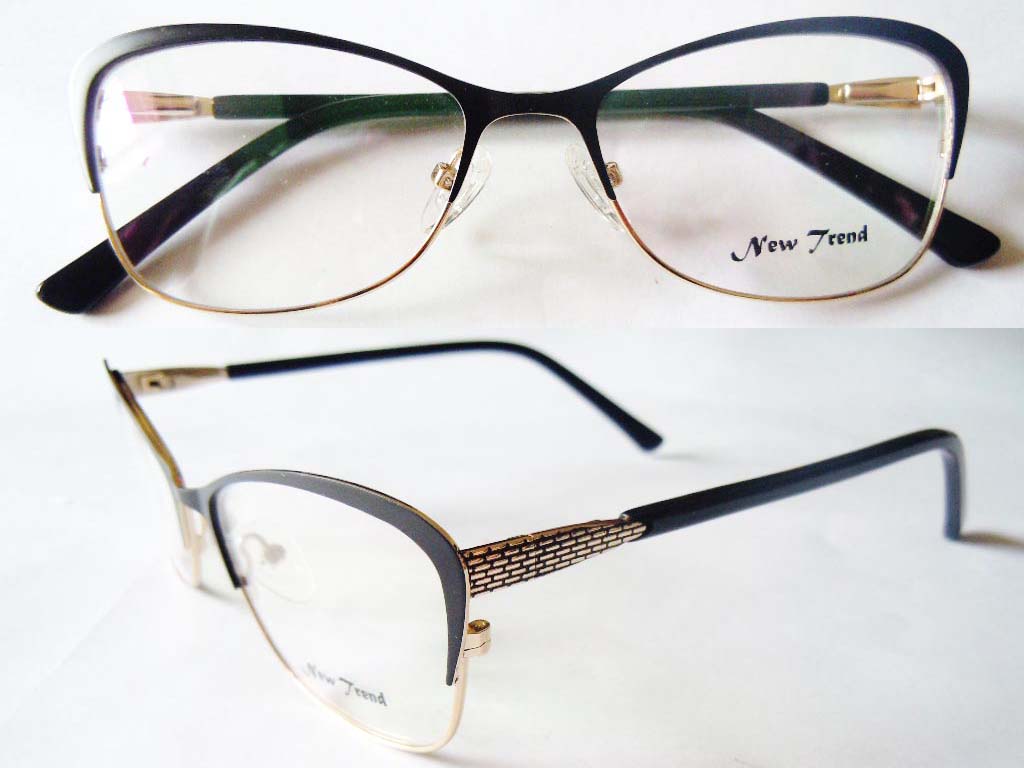 S543  Stainless Steel Spectacle Frame