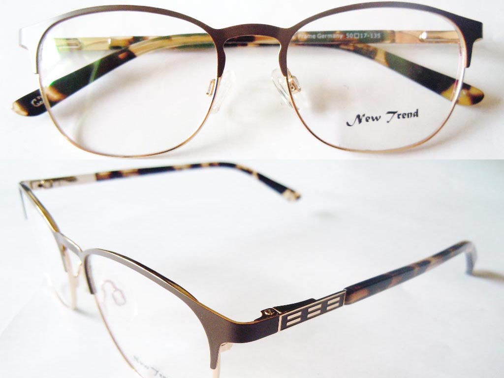 S544  Stainless Steel Spectacle Frame