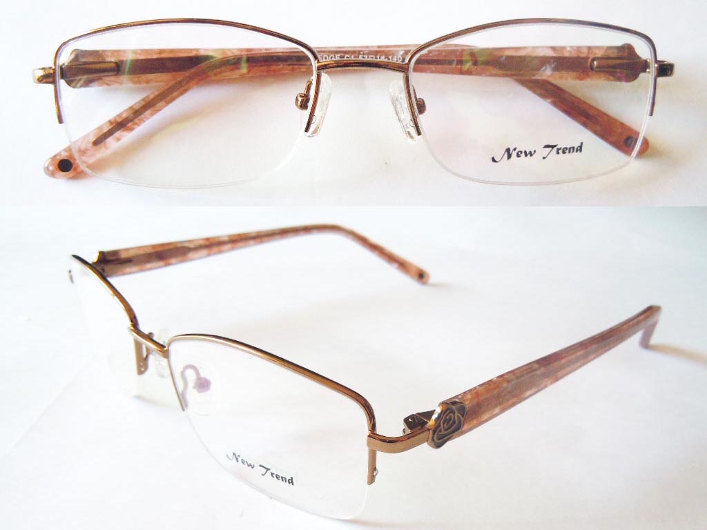 S545  Stainless Steel Spectacle Frame