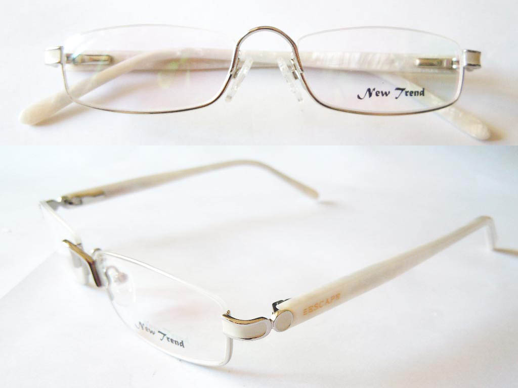 S546  Stainless Steel Spectacle Frame