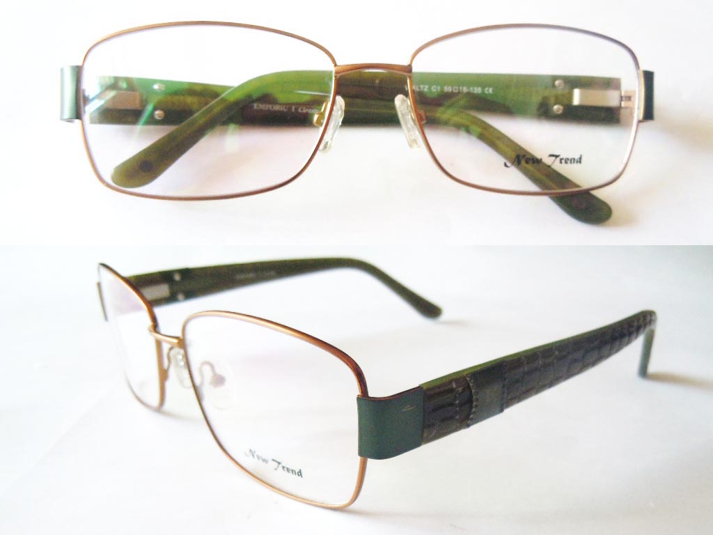 S548  Stainless Steel Spectacle Frame