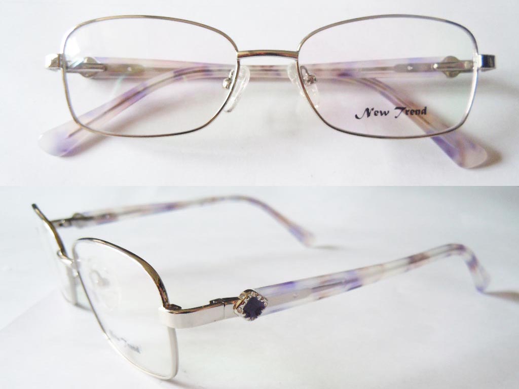 S556  Stainless Steel Spectacle Frame