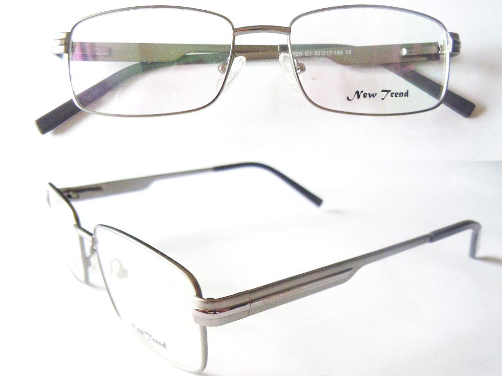 S557  Stainless Steel Spectacle Frame