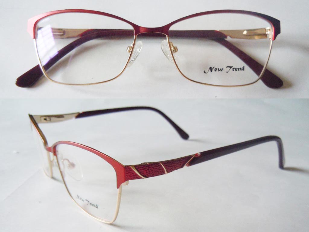 S564  Stainless Steel Spectacle Frame