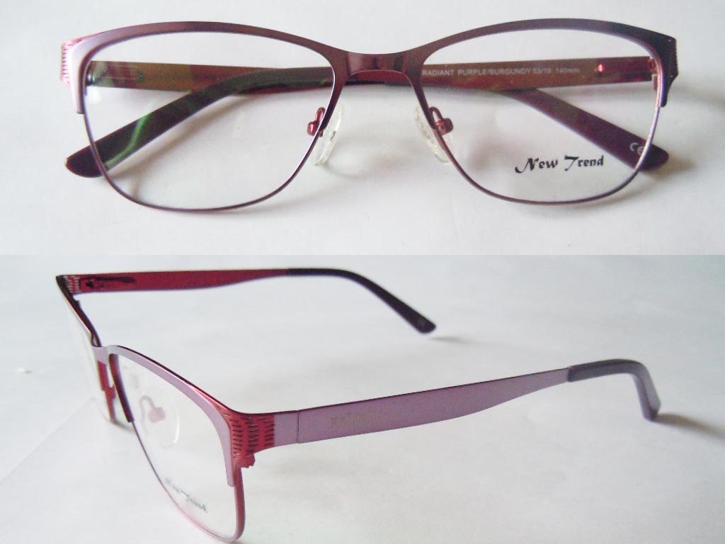 S565  Stainless Steel Spectacle Frame