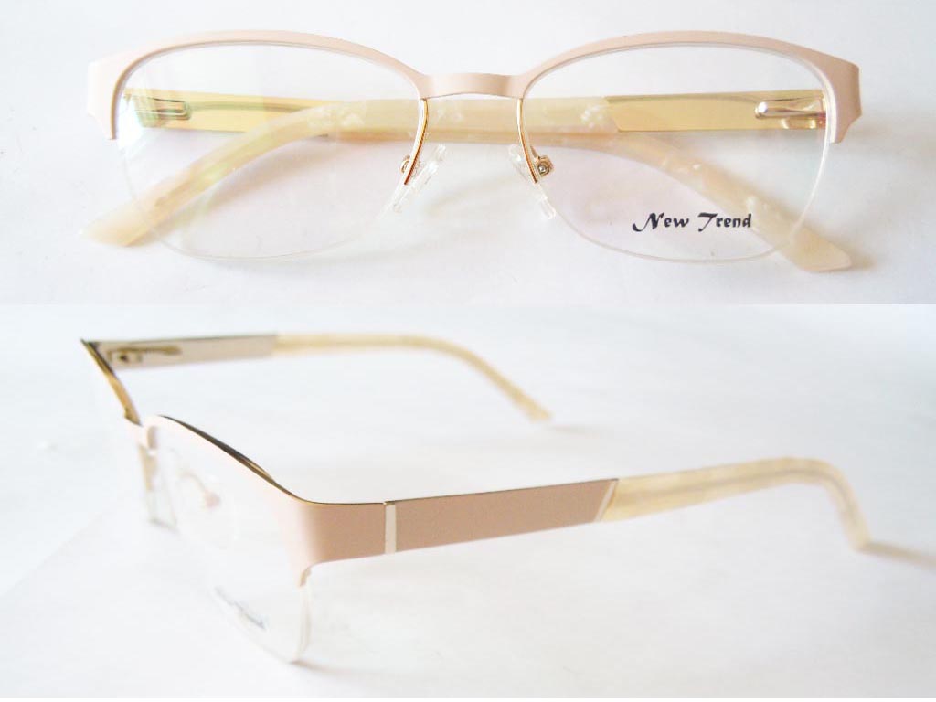 S567  Stainless Steel Spectacle Frame