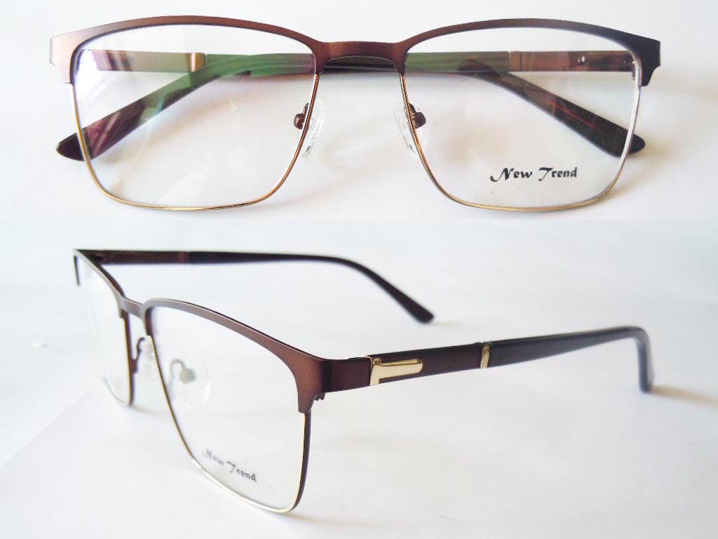 S568  Stainless Steel Spectacle Frame