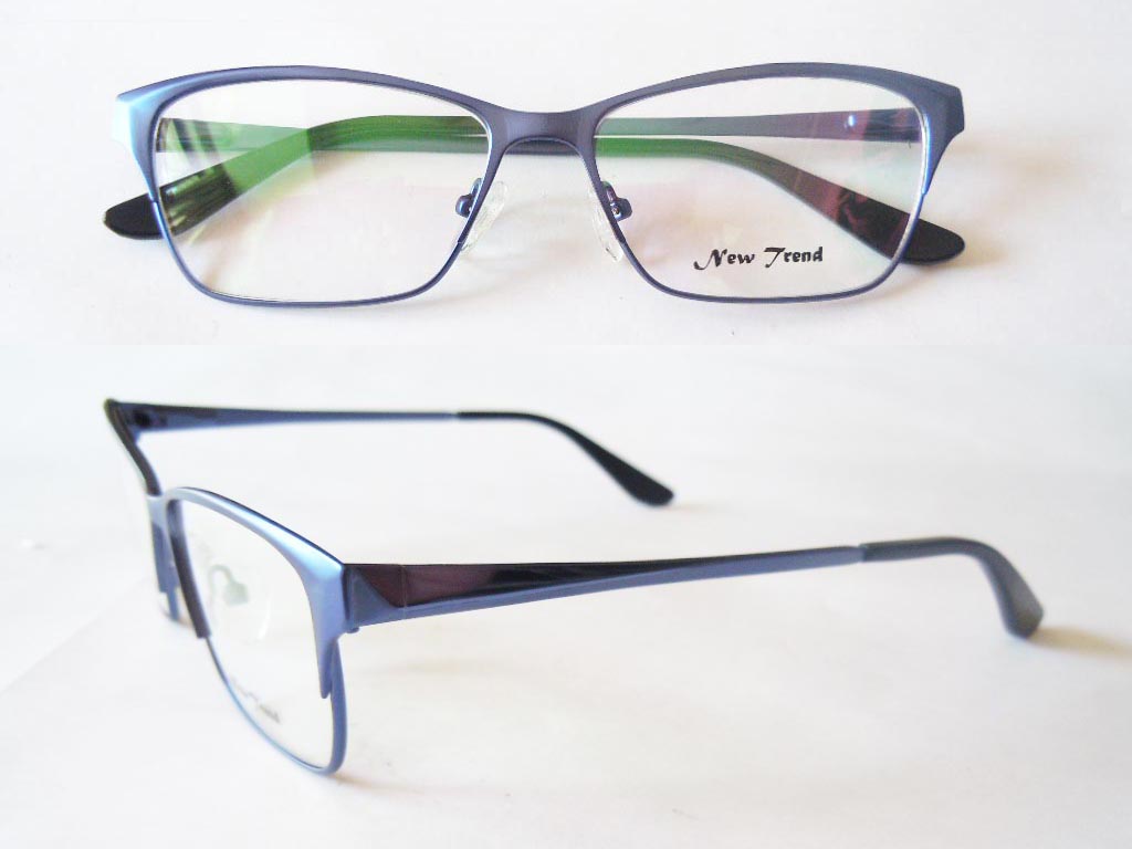 S570  Stainless Steel Spectacle Frame