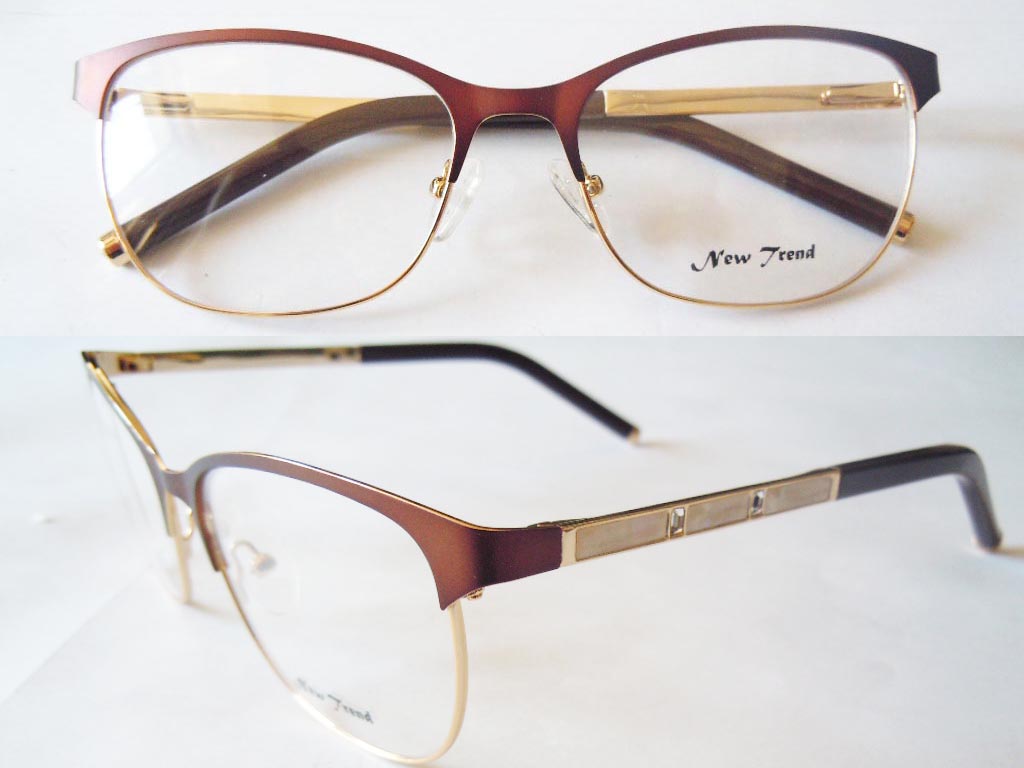 S572  Stainless Steel Spectacle Frame