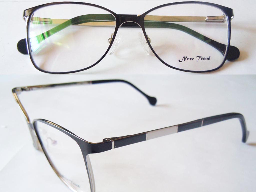 S573  Stainless Steel Spectacle Frame