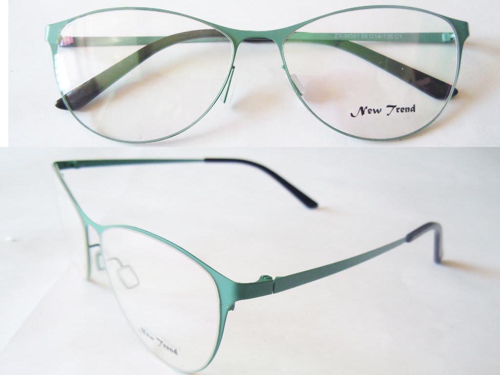 S575  Stainless Steel Spectacle Frame