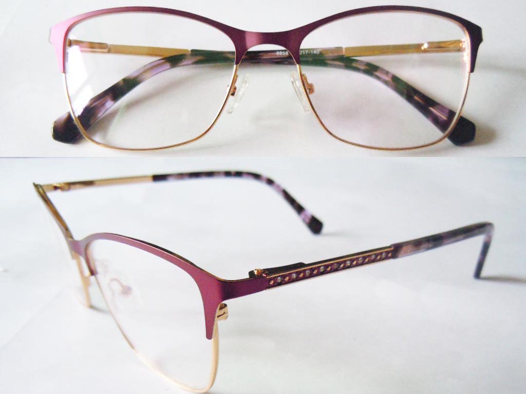 S581   Stainless Steel Spectacle Frame