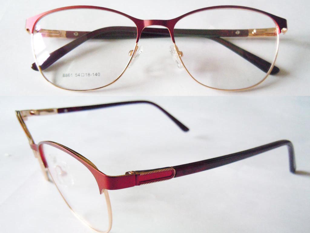 S583   Stainless Steel Spectacle Frame