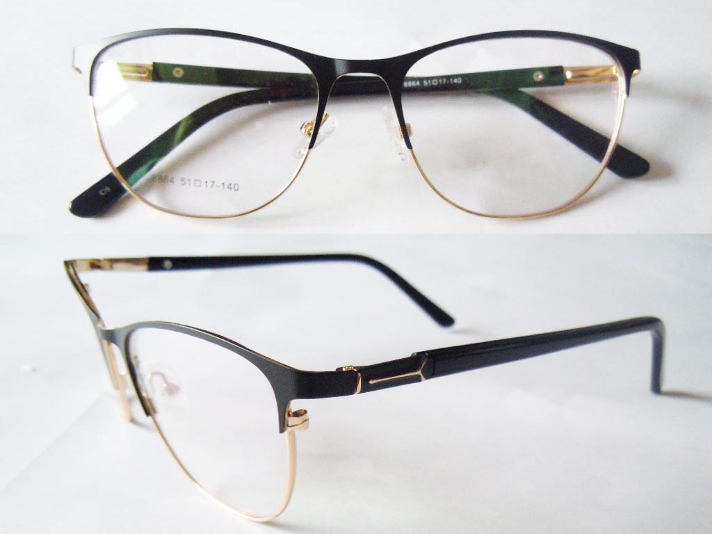 S586   Stainless Steel Spectacle Frame