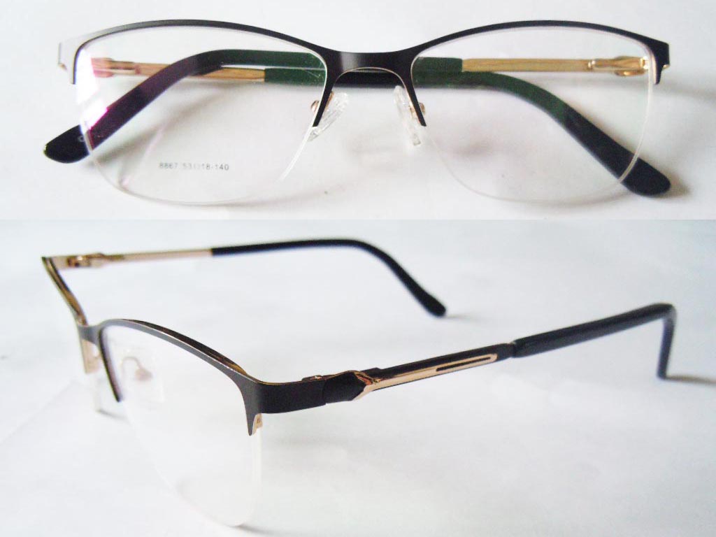 S589   Stainless Steel Spectacle Frame