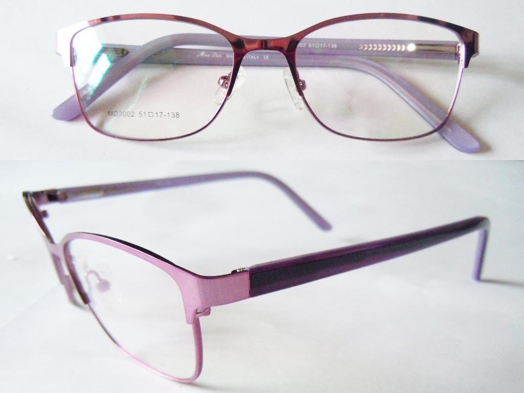 S591   Stainless Steel Spectacle Frame