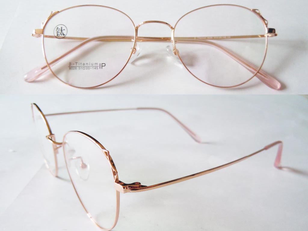 T088  Pure Titanium Eyeglass Frame