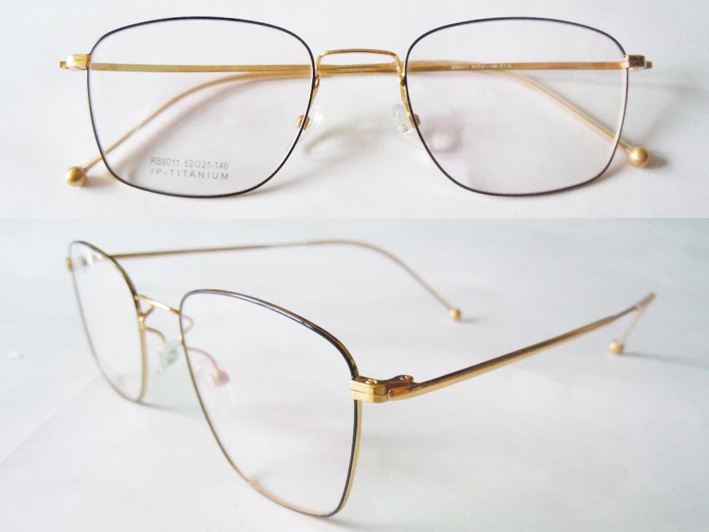 T101  Pure Titanium Eyeglass Frame