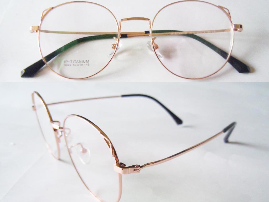 T108  Pure Titanium Eyeglass Frame