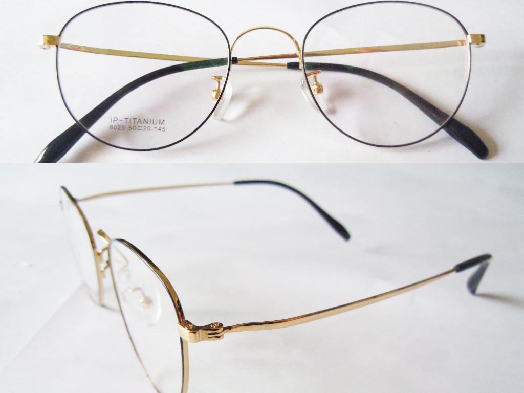 T110  Pure Titanium Eyeglass Frame