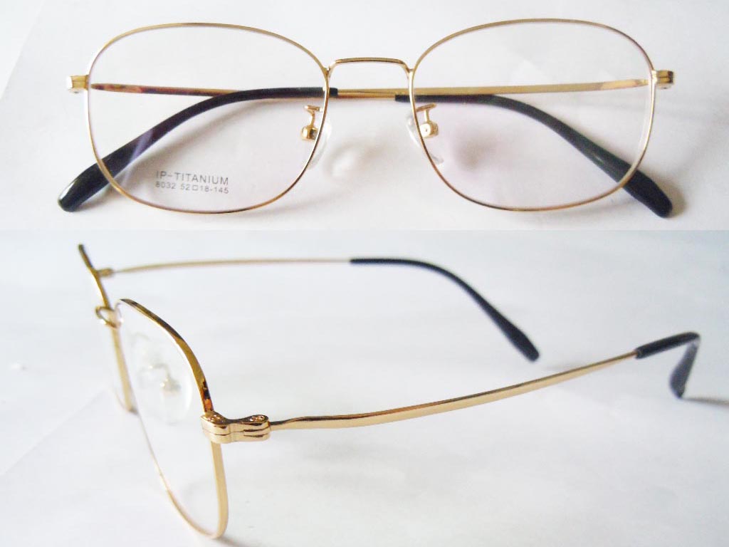 T113  Pure Titanium Eyeglass Frame