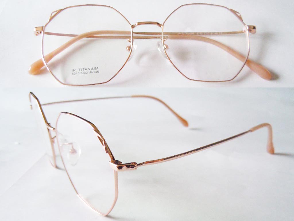 T118  Pure Titanium Eyeglass Frame