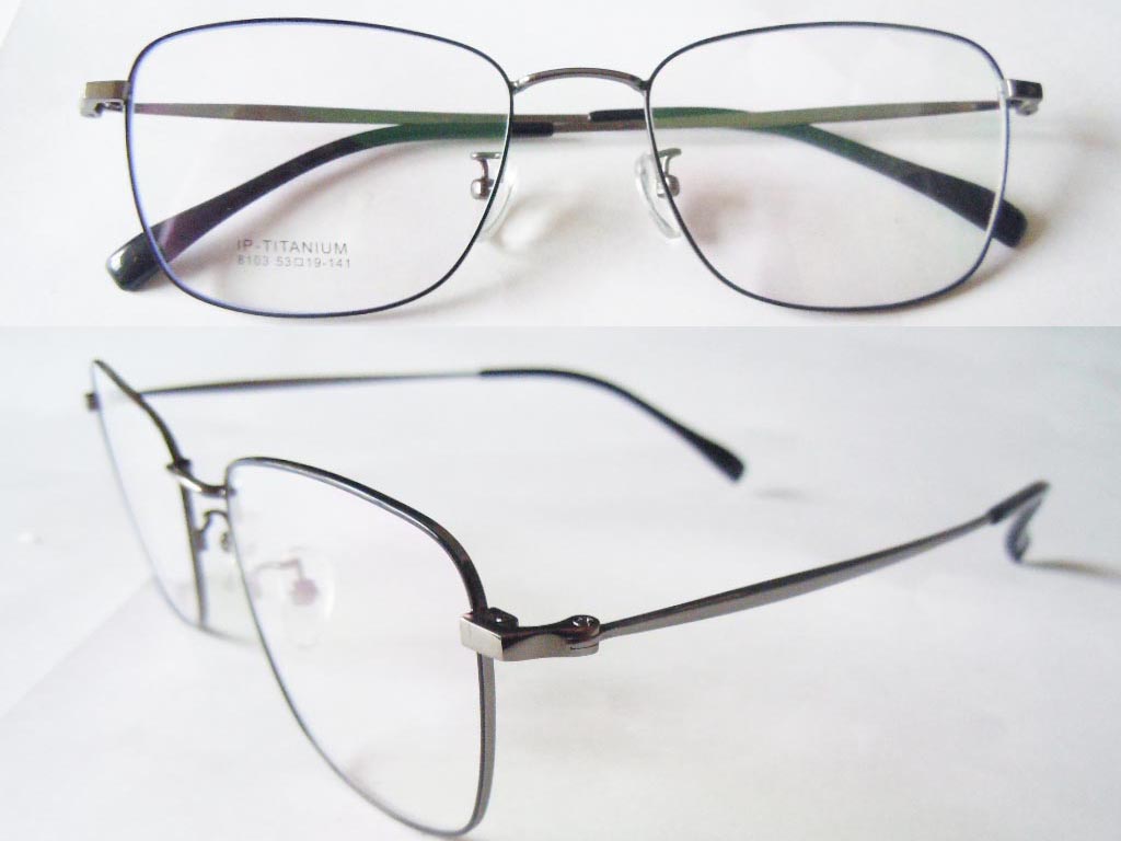 T127  Pure Titanium Eyeglass Frame