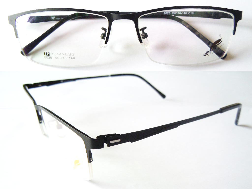 S595   Stainless Steel Spectacle Frame