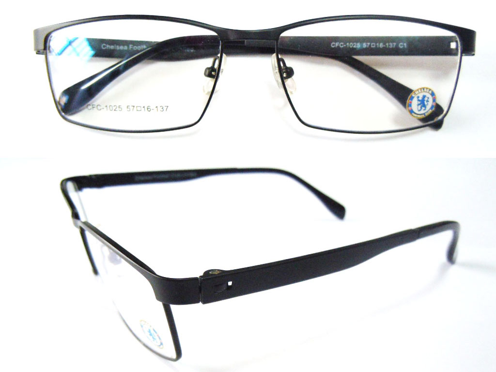 S601   Stainless Steel Spectacle Frame