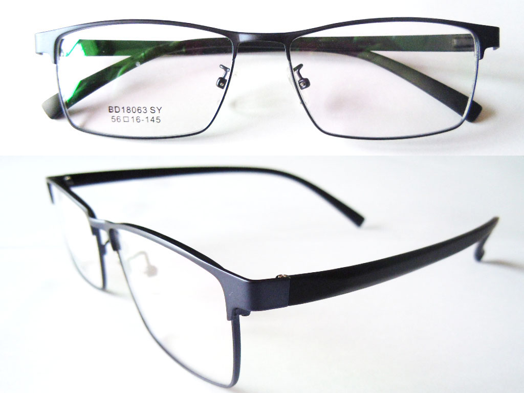 S629   Stainless Steel Spectacle Frame