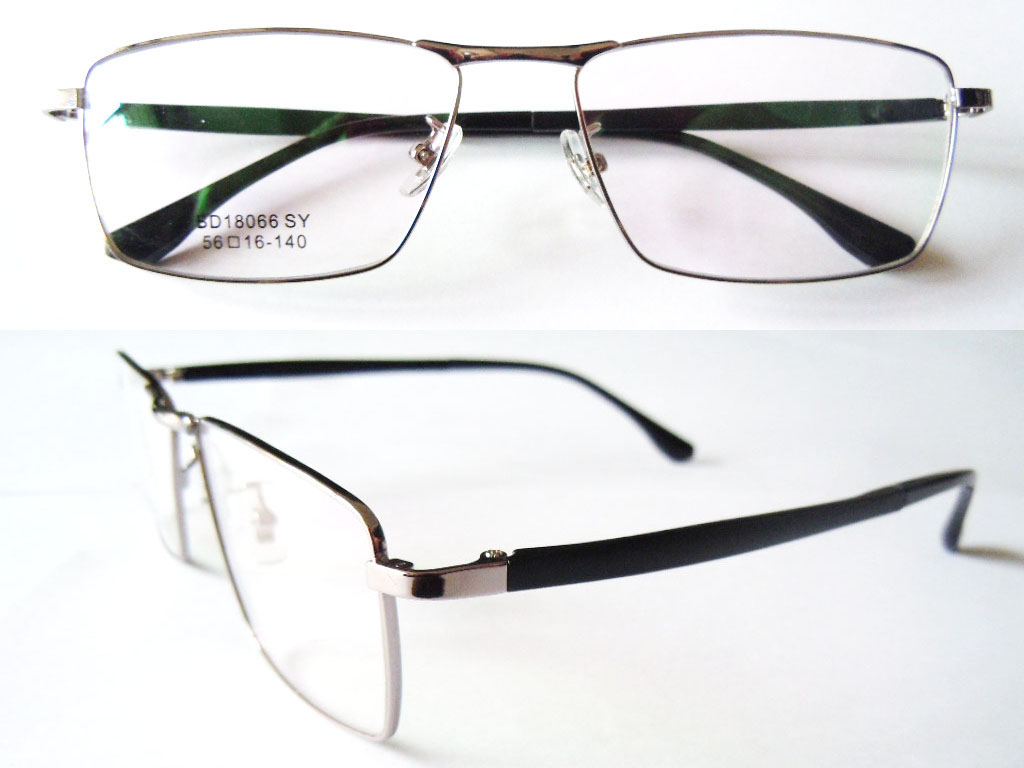 S630   Stainless Steel Spectacle Frame