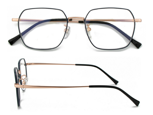 T154  Pure Titanium Eyeglass Frame