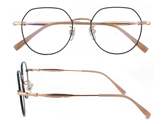 T160  Pure Titanium Eyeglass Frame