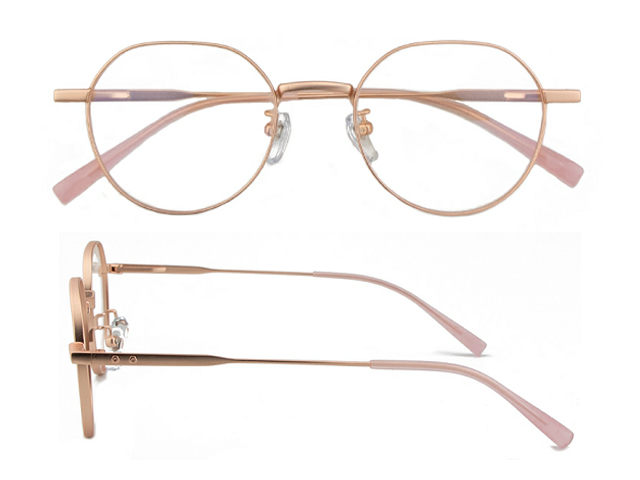 T164  Pure Titanium Eyeglass Frame