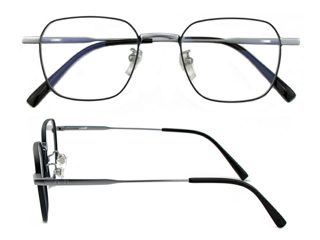 T165  Pure Titanium Eyeglass Frame